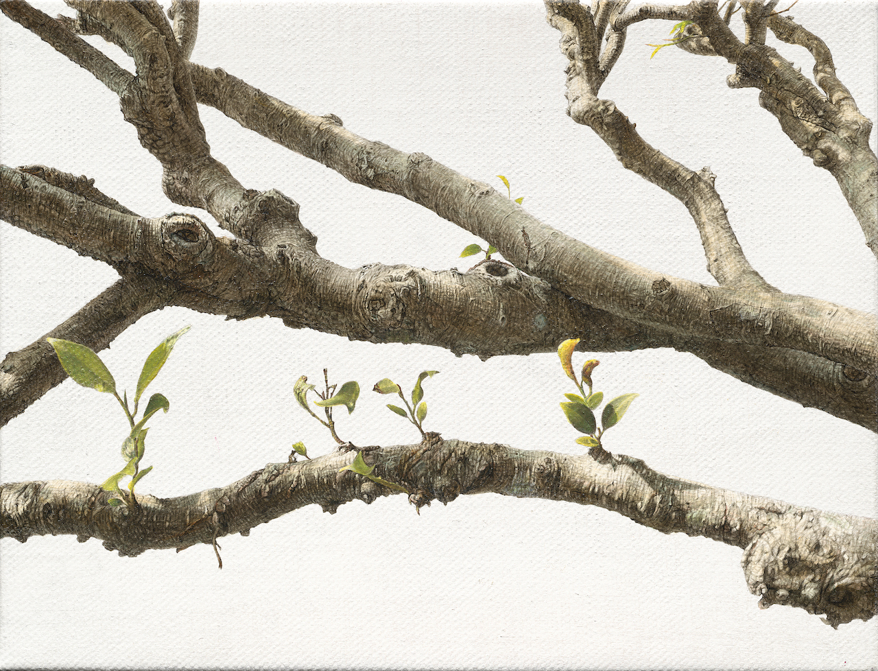 Sui Generis: Group Exhibition of Contemporary Taiwanese Artists - Macao  Government Tourism Office